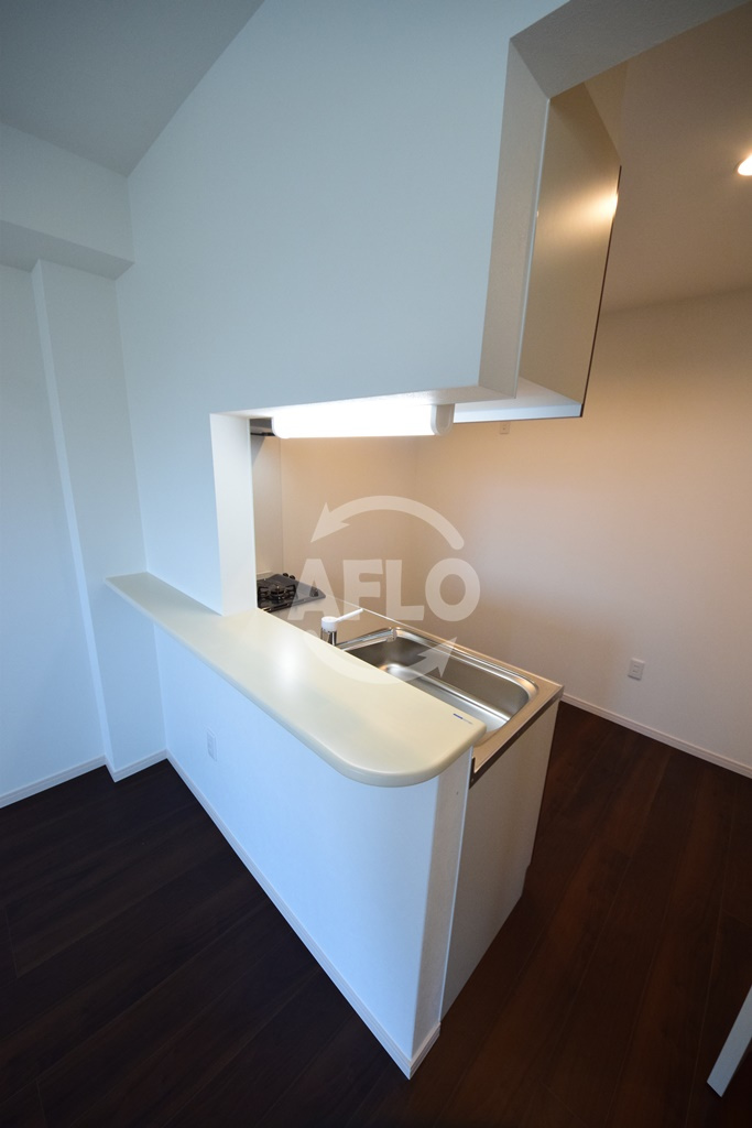 グランパシフィック長橋スクエアのキッチン|グランパシフィック長橋スクエア　カウンターキッチン