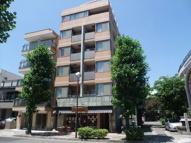 アプリコットの画像