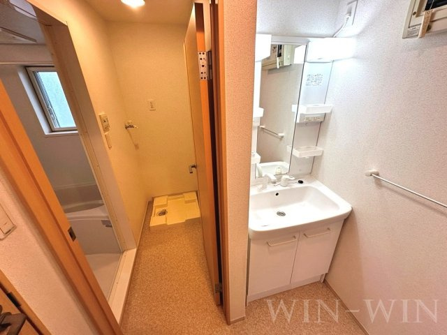 カーサ プラシードの洗面所