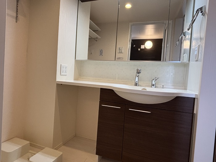 グランドゥール東森田の洗面所