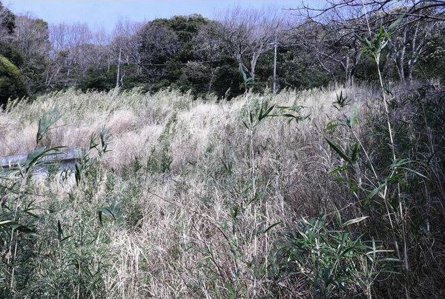 熱海市　緑ガ丘町