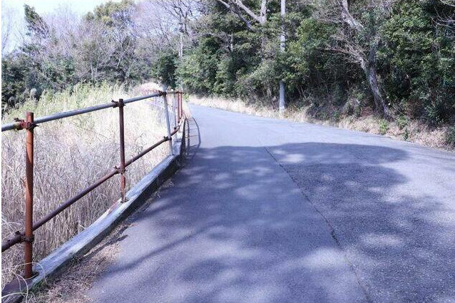 熱海市　緑ガ丘町の前面道路含む現地写真