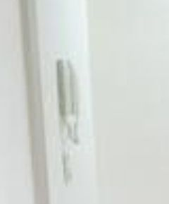 カーサ・ラ・フエンテのその他