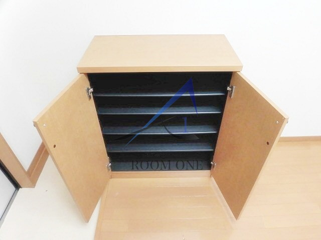 ルーミー川崎の玄関|玄関です。