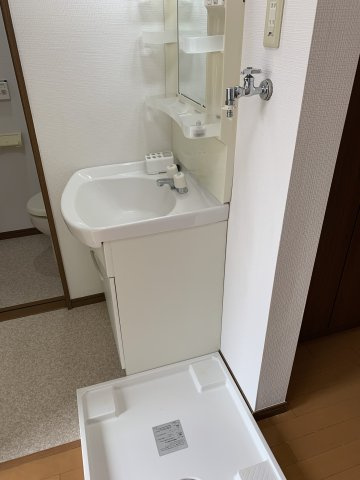 メイプル清水２の洗面所