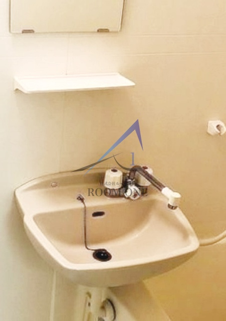 サニーサイド西日暮里の洗面所|洗面台です。