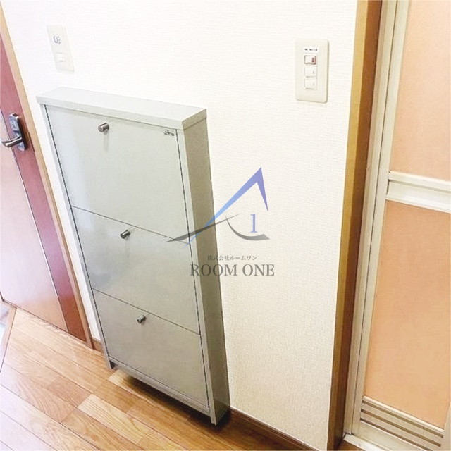 サニーサイド西日暮里の玄関|玄関です。