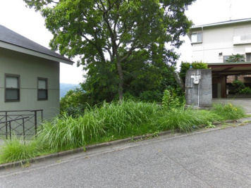 函南町　南箱根ダイヤランドの画像