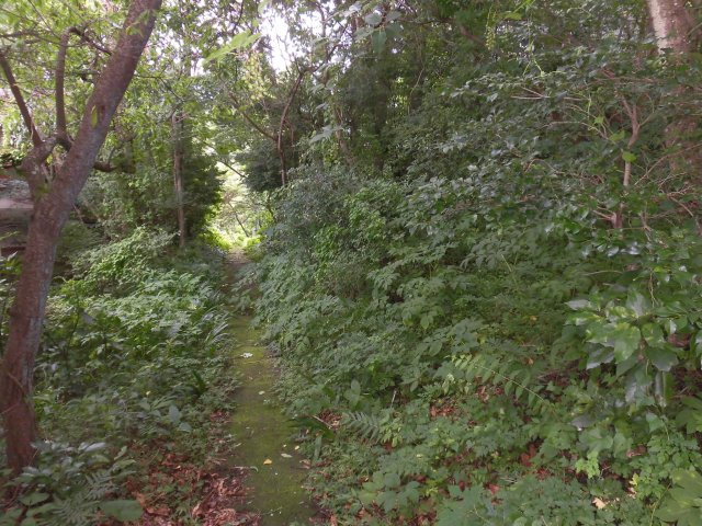 函南町　南箱根ダイヤランドの外観