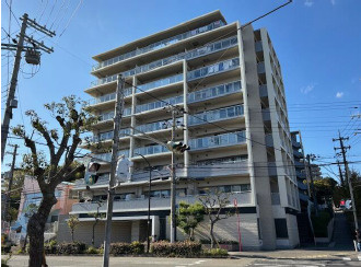 ネバーランド朝霧