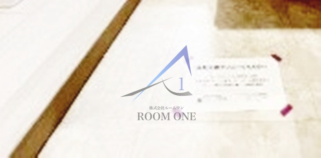 B CITY APARTMENT SHINAGAWA WESTの玄関|玄関です。