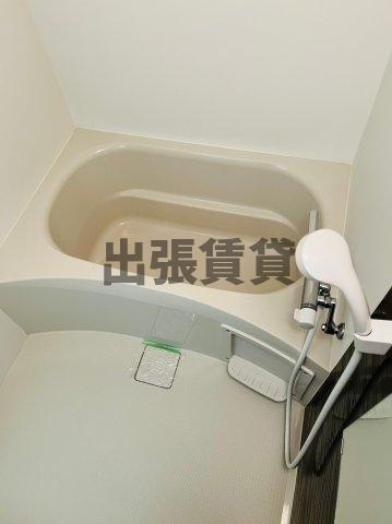 仲介手数料０円！！ザ・テラス丸の内の浴室