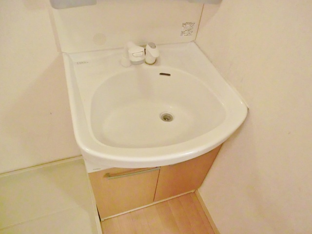 ファミール　Ｂ棟の洗面所|嬉しいシャンプードレッサー！