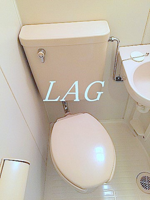 【トイレ】 | スカイコート向島第２ | トイレです。