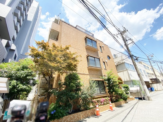 ハウスコットンテール