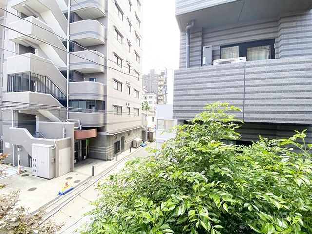 ハウスコットンテールの展望|バルコニーからの景色です☆