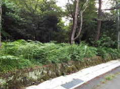 伊豆の国市　小松ケ原別荘地