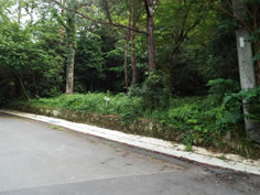 伊豆の国市　小松ケ原別荘地の前面道路含む現地写真