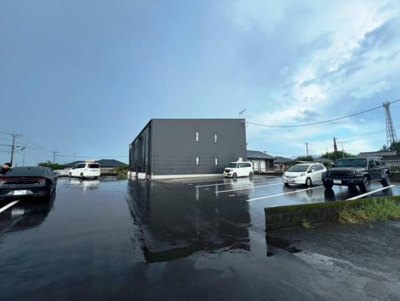  | カインドファルコン