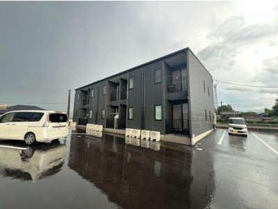  | カインドファルコン