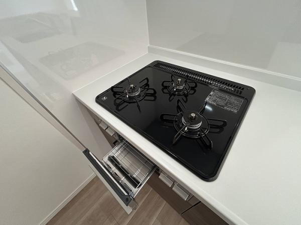 ダイアパレス草津ガーデンコートのキッチン