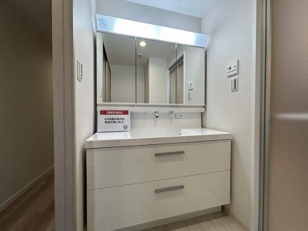 ダイアパレス草津ガーデンコートの独立洗面台