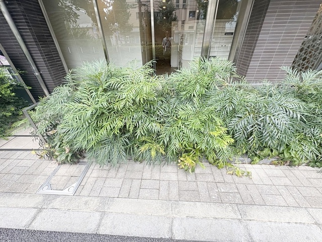 パークアクシス駒込ＨＩＬＬＴＯＰのその他|マンション前の植栽です☆