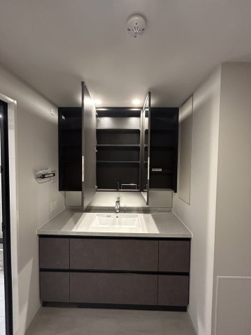 プラウドタワー平井の独立洗面台