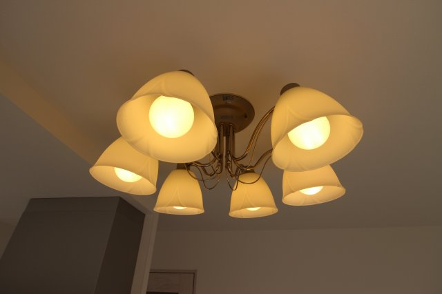 ユニ舞子のその他