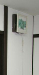 ヌーベルスターのその他