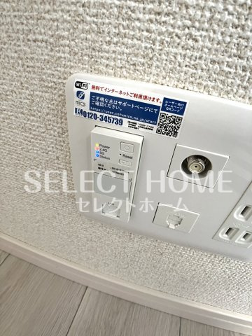  | サープラスあおい