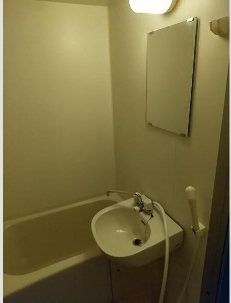 アルファブリックの浴室