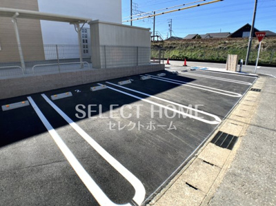 | サープラスあおい