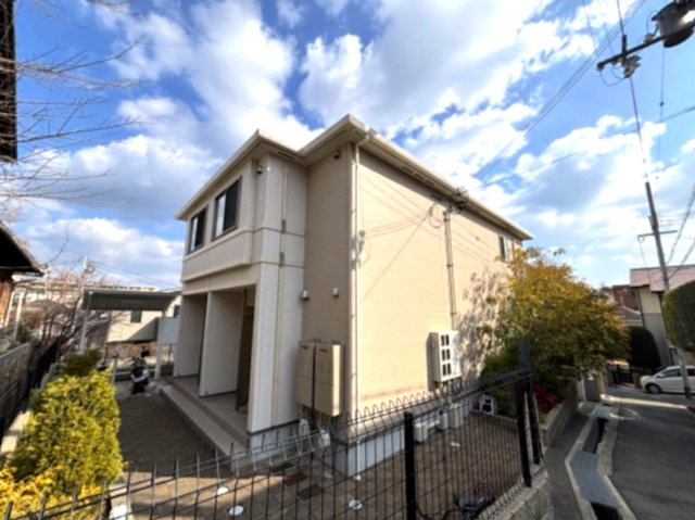 プレンデトワール五毛