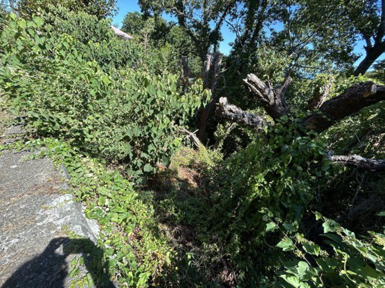 【外観】 | 富士急川奈別荘地　売地