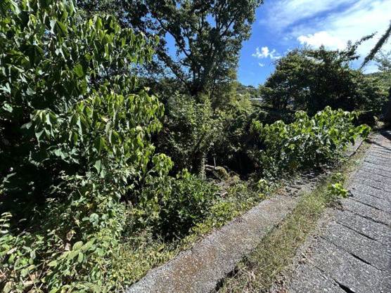 【外観】 | 富士急川奈別荘地　売地