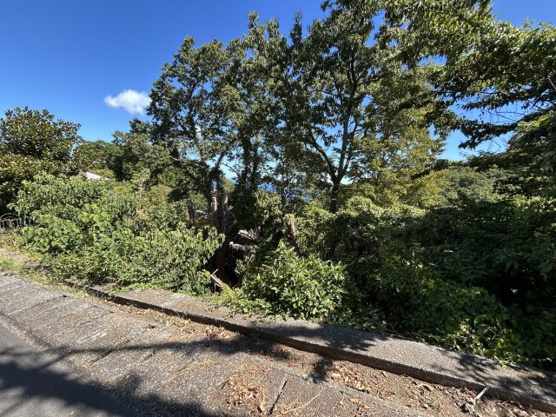 【外観】 | 富士急川奈別荘地　売地