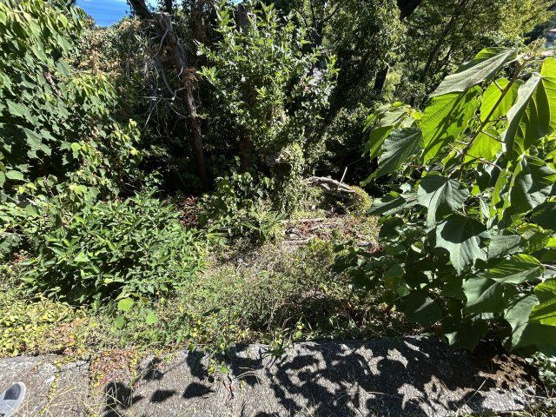 【外観】 | 富士急川奈別荘地　売地