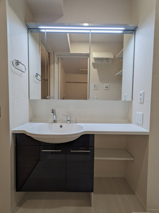 エーデルハイムＭⅡの洗面所