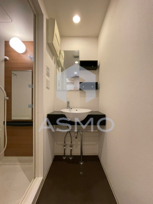 【洗面所】 | セレニテ本町エコート | 同マンション別部屋参考写真