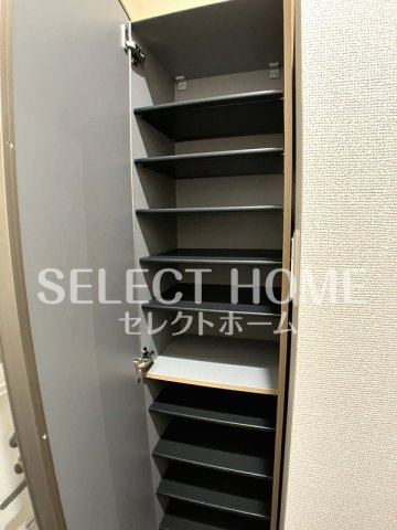  | サープラスあおい