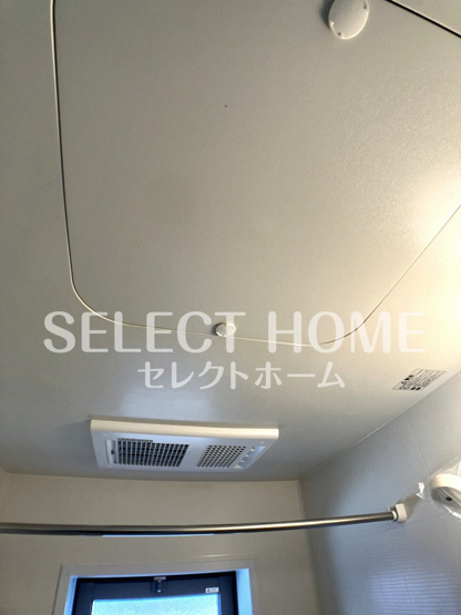  | サープラスあおい