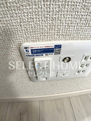  | サープラスあおい