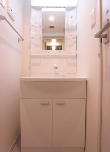 リブリ・MarySolの洗面所