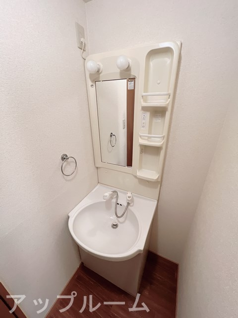 シャトー愛の洗面所