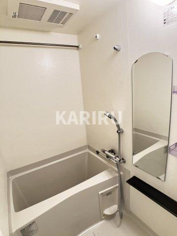 アドバンス大阪ブリアントの浴室