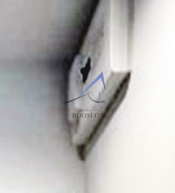 ＨＡＮＡＢＵＳＡⅤ