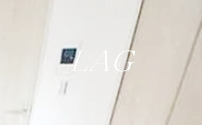 【セキュリティ】 | メルディア亀有 | モニター付きインターホンです。