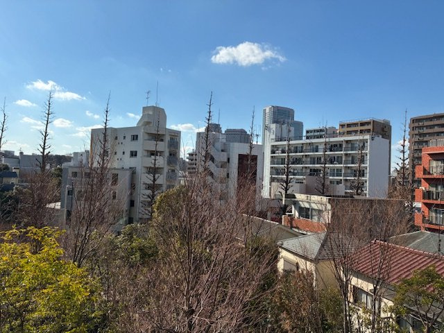 グランドメゾン白金の杜ザ・タワーの展望