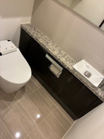 グランドメゾン白金の杜ザ・タワーのトイレ